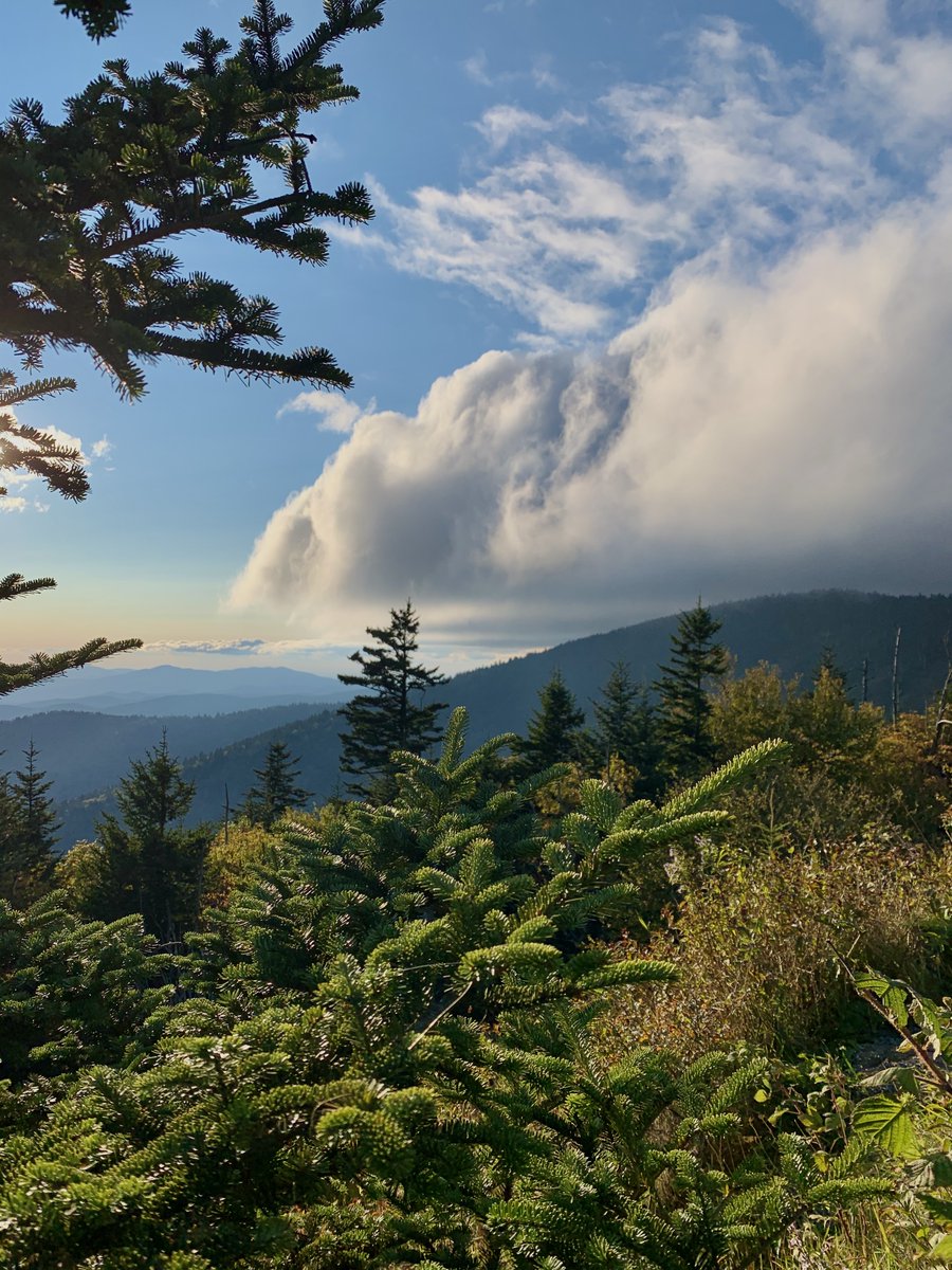 liz_july4th's tweet image. Wishing you a goodnight 🌙😴 

Every photo posted or shared has been taken by me. 

#Smokies #EastTN #GreatSmokiesNP #Sunset  Aug2023 

Again, thank you for following me.
