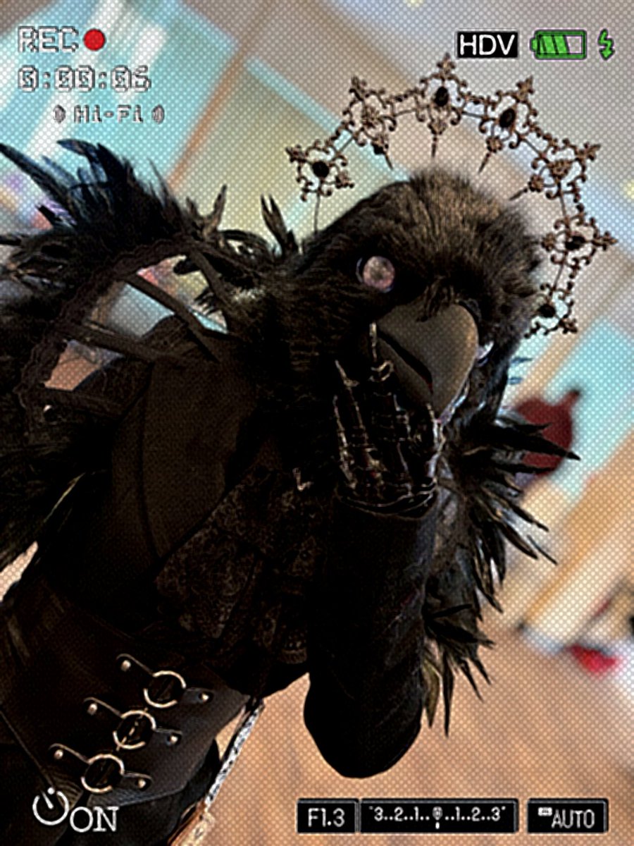 ๐ธ๐๐๐๐๐๐ tweet media