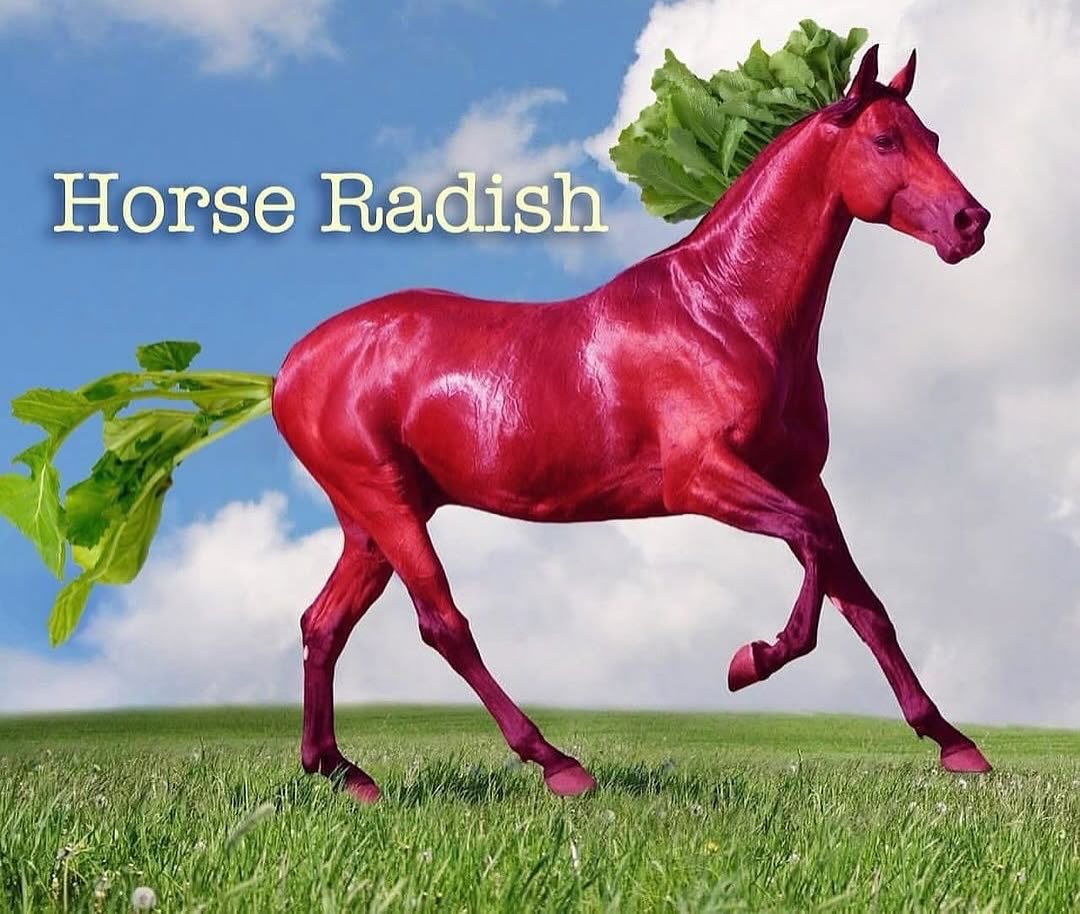 i like food tweet media