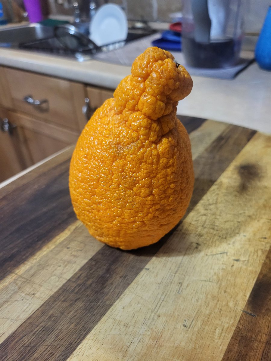 Ian484848 tweet media