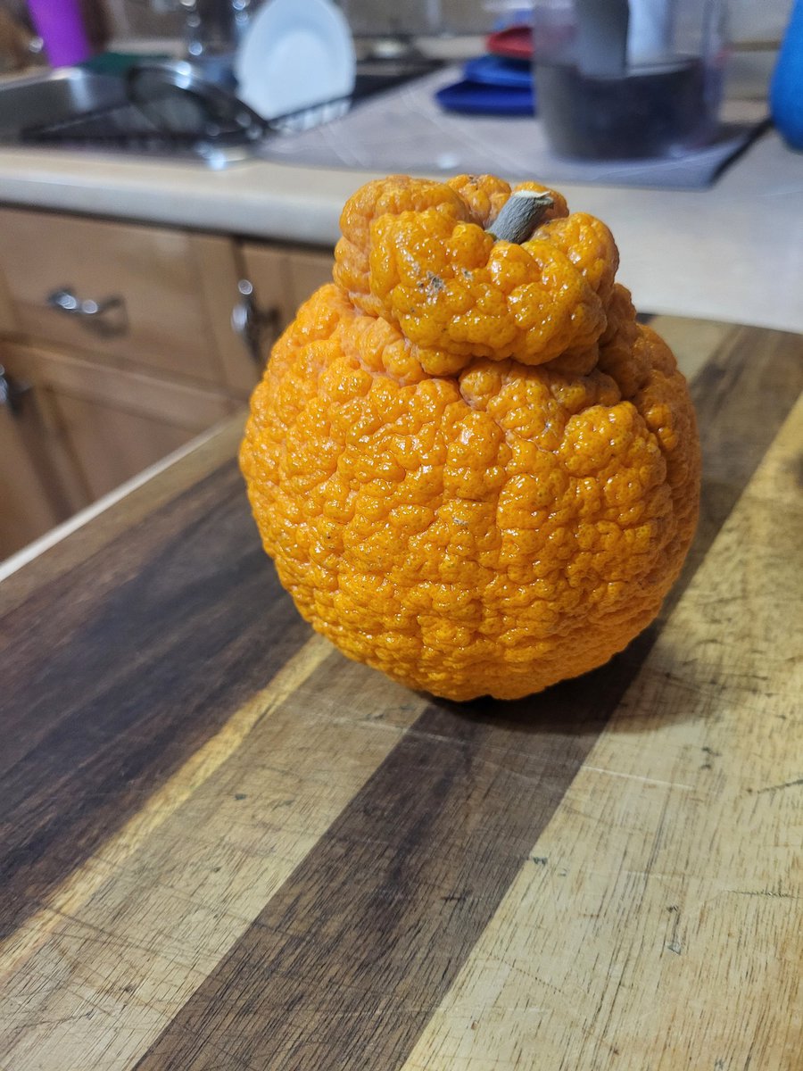 Ian484848 tweet media