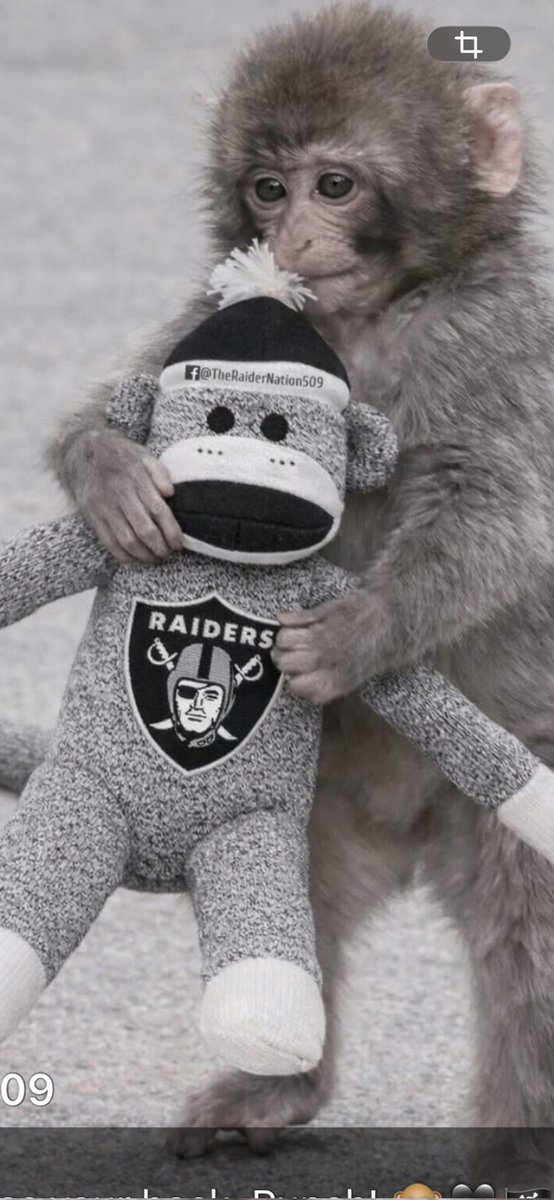 Really...
#Raiders