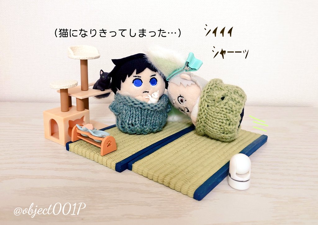 object001Photo📷️ tweet media