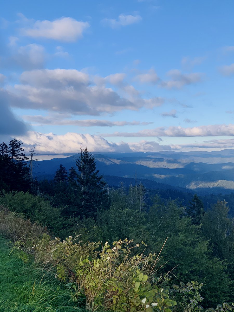 liz_july4th's tweet image. Wishing you a goodnight 🌙😴 

Every photo posted or shared has been taken by me. 

#Smokies #EastTN #GreatSmokiesNP #Sunset  Aug2023 

Again, thank you for following me.