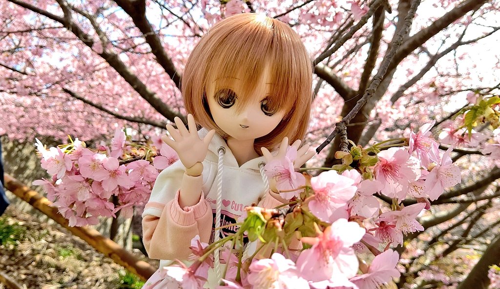 yusukepri6602's tweet image. #お昼休みに一枚だけドールの写真をはろう