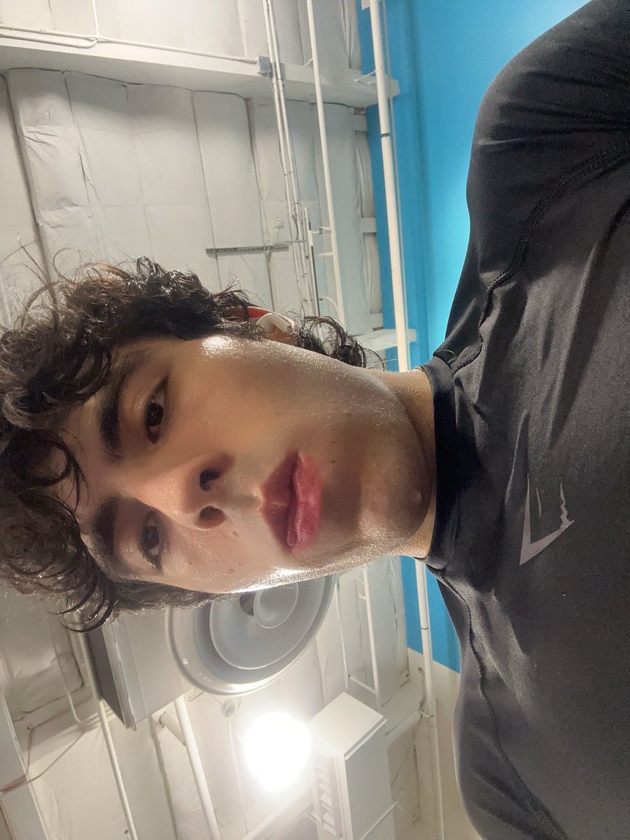 ant 🐜 tweet media