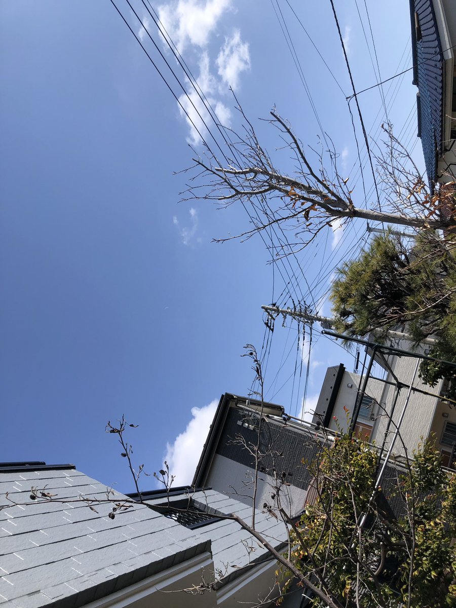 022RED's tweet photo. おはよう！
気持ち悪いくらい暖かい風！ https://t.co/ii53yWeR8C