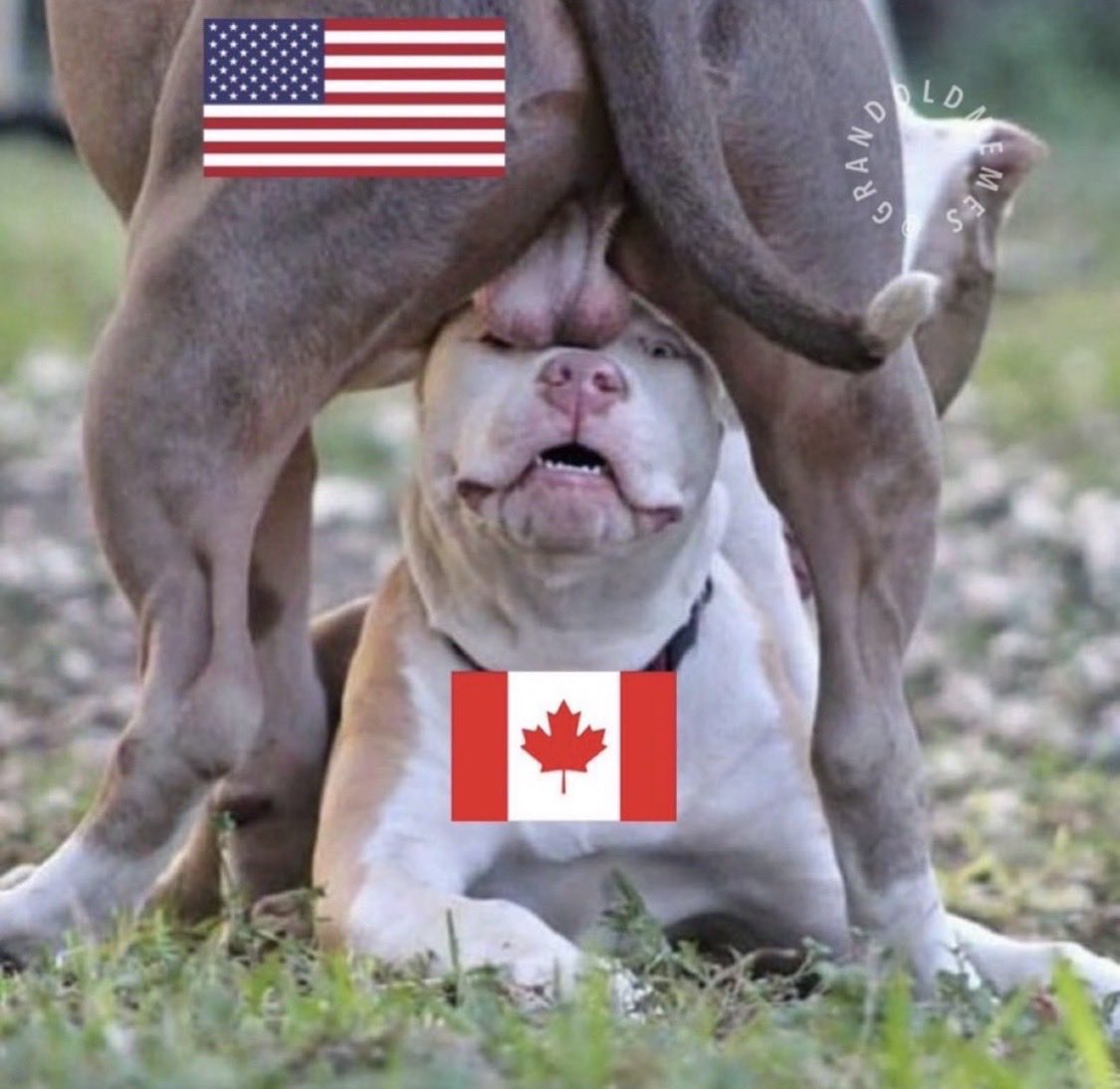 Brennon Malcom tweet media