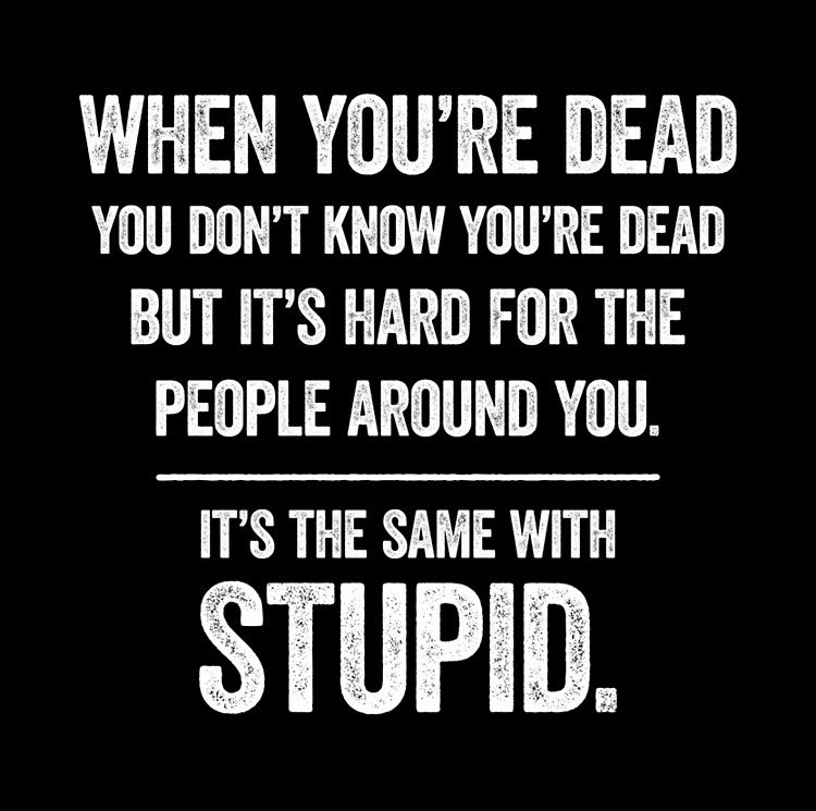 Terra Majesta tweet media