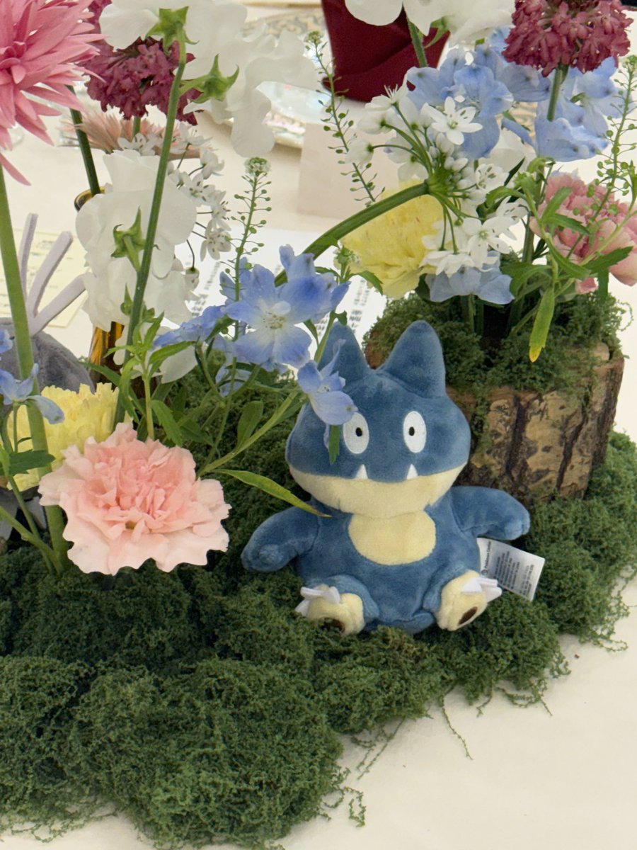 ポケモン微中年】てんてん☆GX (@cdtenten) / Posts / X