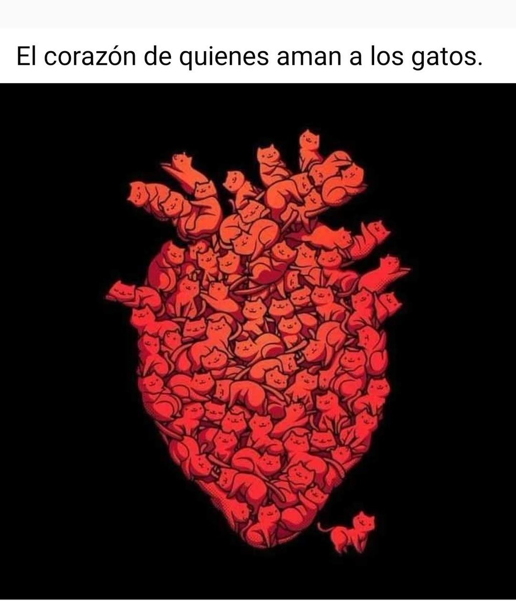 ManuSaenzVolvio's tweet photo. El mío !
❣️ https://t.co/ihMxI0FR6p