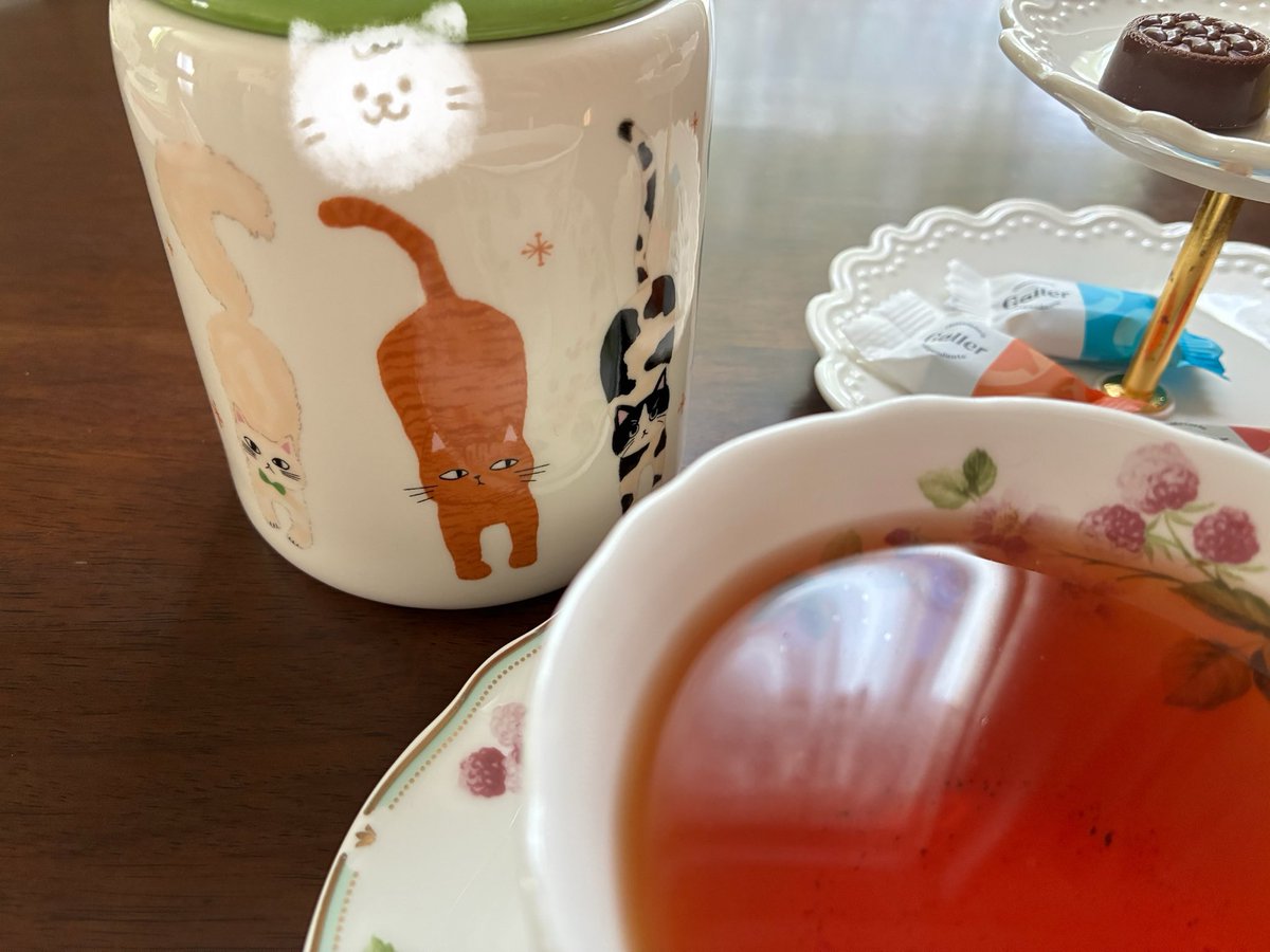 昨日は猫の日だったので、猫ちゃんのキャニスターを眺めながらティータイム🐈🫖

カルディでハロウィン時期に買ったのですが、ぽってりとした形と色合い、猫ちゃんの個性ある表情がお気に入りです☺️

紅茶はAOBAのカティーサーク。
バニラやベリーの甘い香りがたまりません🍯🫐

＃茶好連
