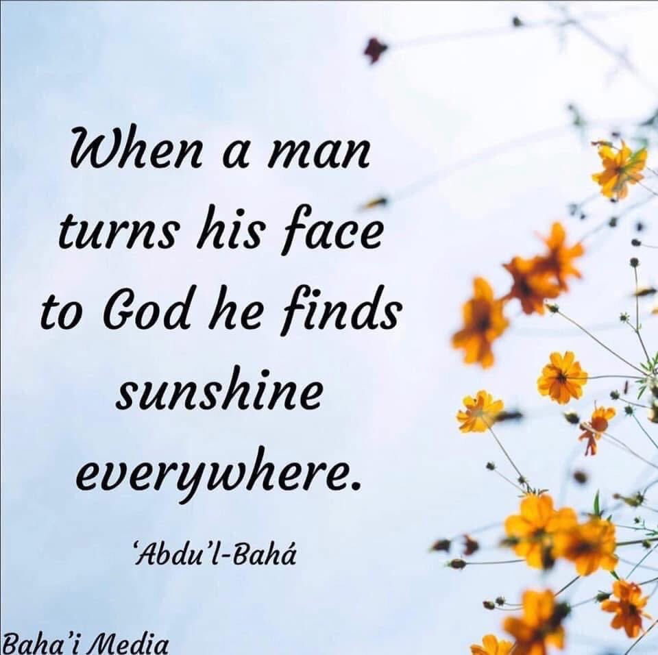 Ryan Daniels (@hallowreed) on Twitter photo 