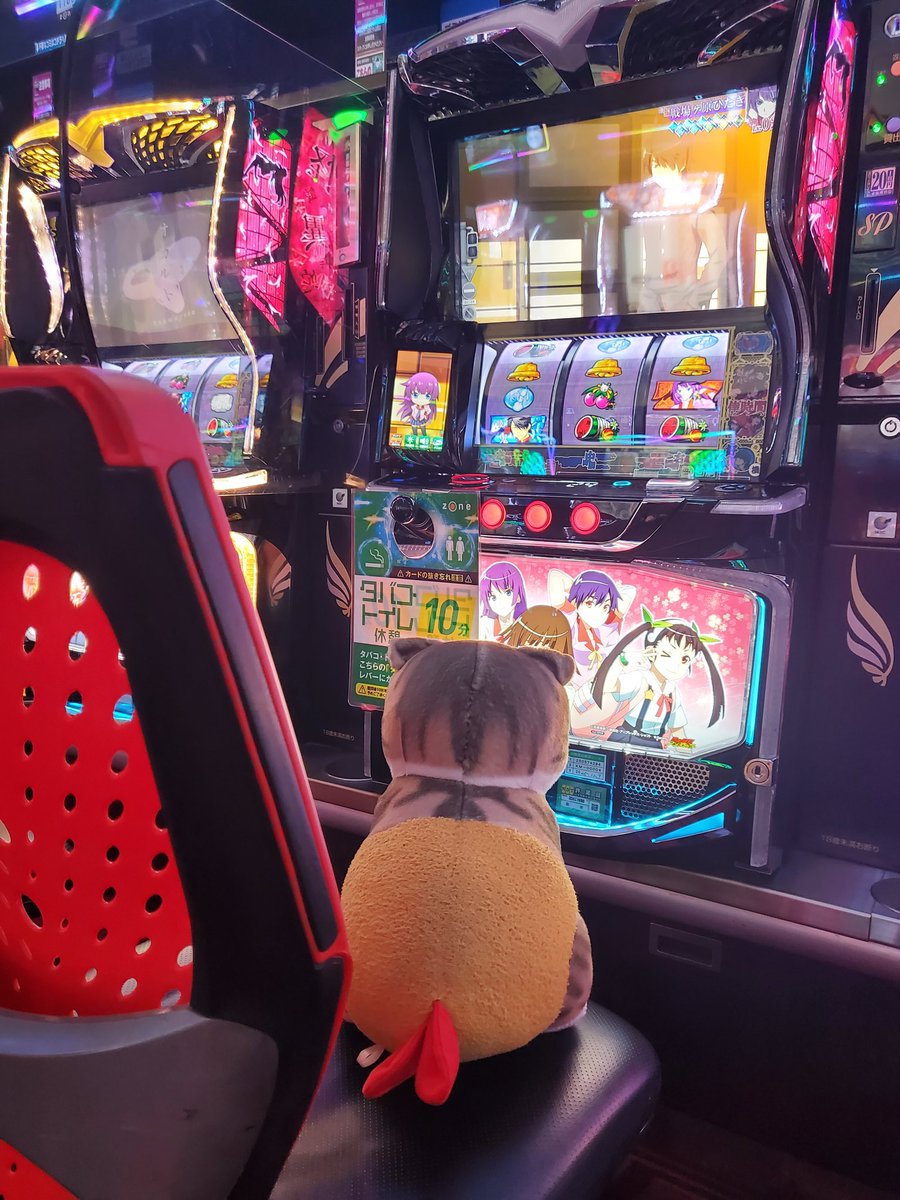 正解は🙆‍♀️💓 えびにゃんが代打ちしてます なみにゃんは探さないで