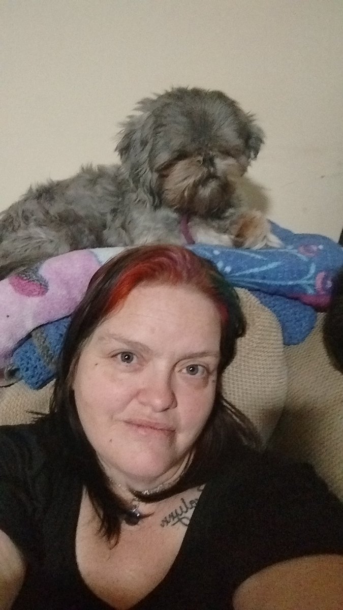 JessicaHam45254's tweet photo. @BetRiversCasino Zoey and cupcake https://t.co/wxZSzUcTic