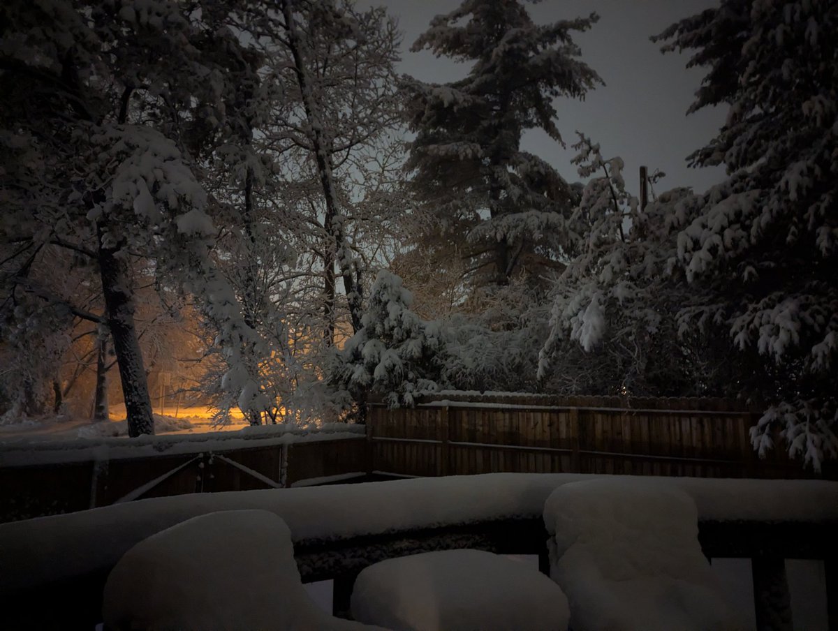 Today's Tom Servo (@dicconhyatt) on Twitter photo 