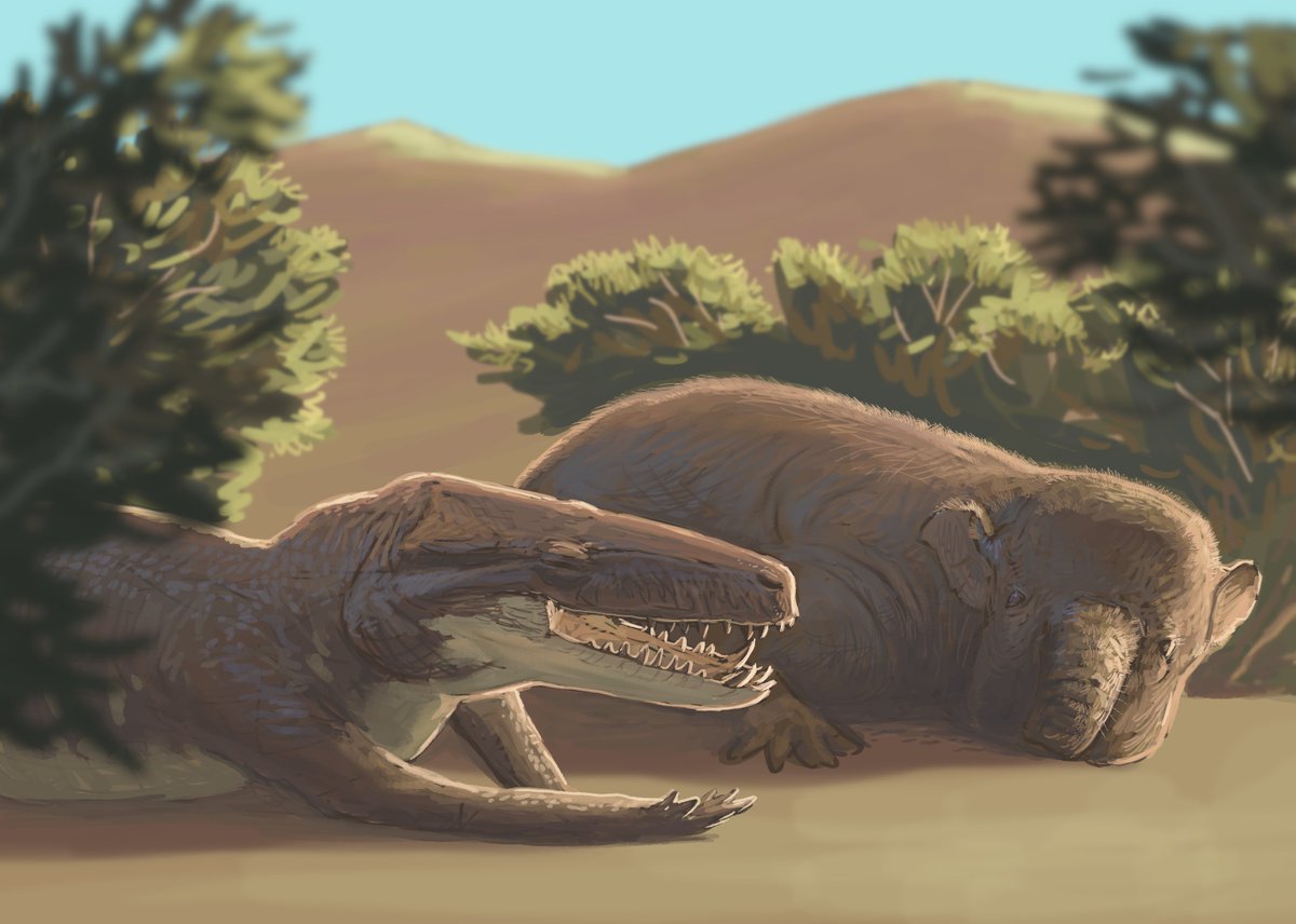 Joschua Knüppe tweet media