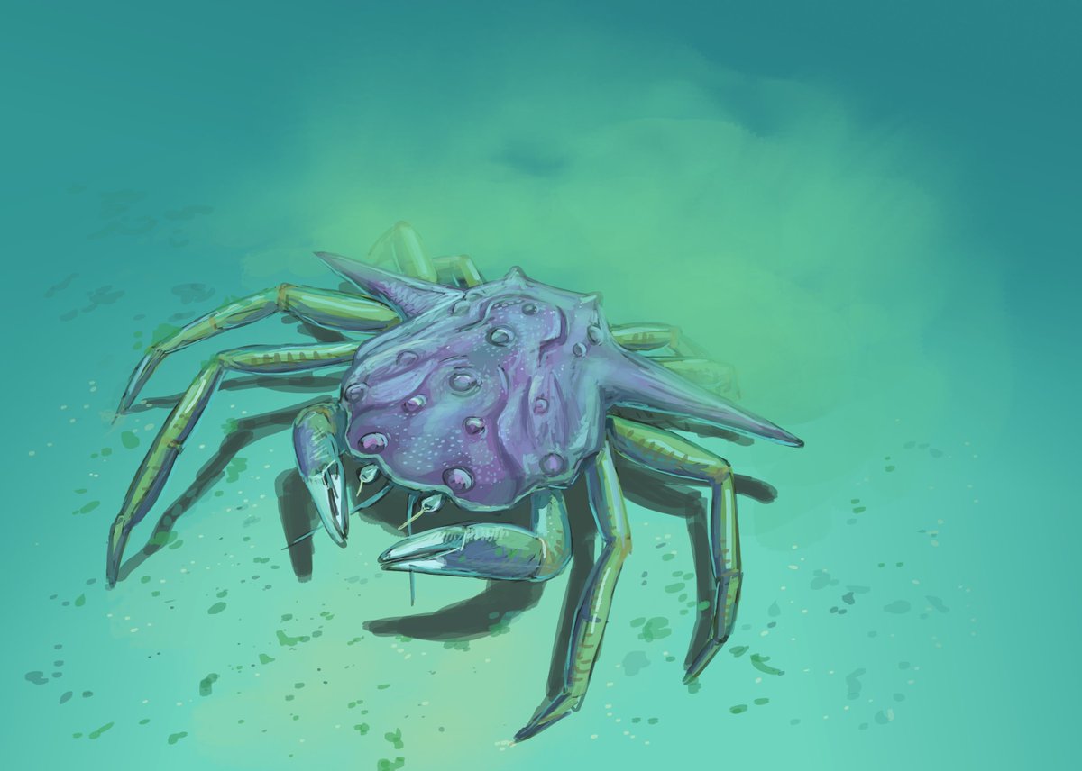 Joschua Knüppe tweet media