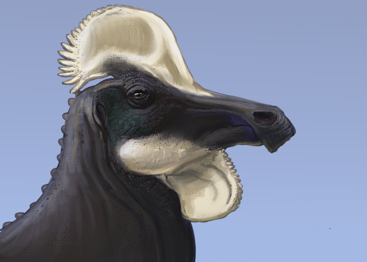 Joschua Knüppe tweet media