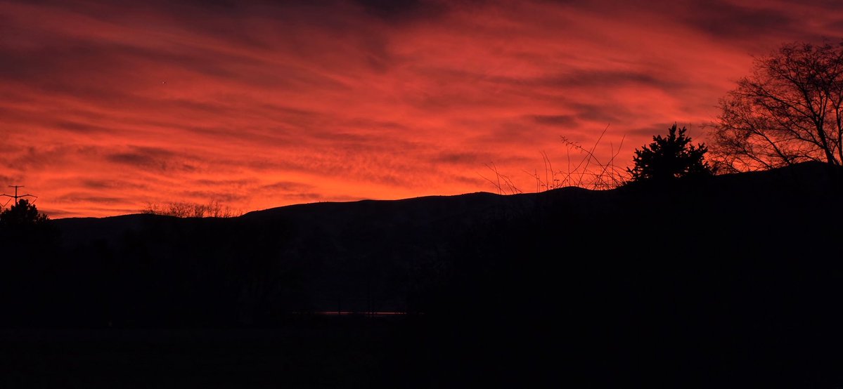 halopenguins's tweet image. Wow, tonight's sunset over the Utah hills was unreal 😍 Fiery orange skies + silhouetted trees = pure magic! 🌄🐧 #UtahSunset #UtahSunsets #BeUtahful #WowUtah