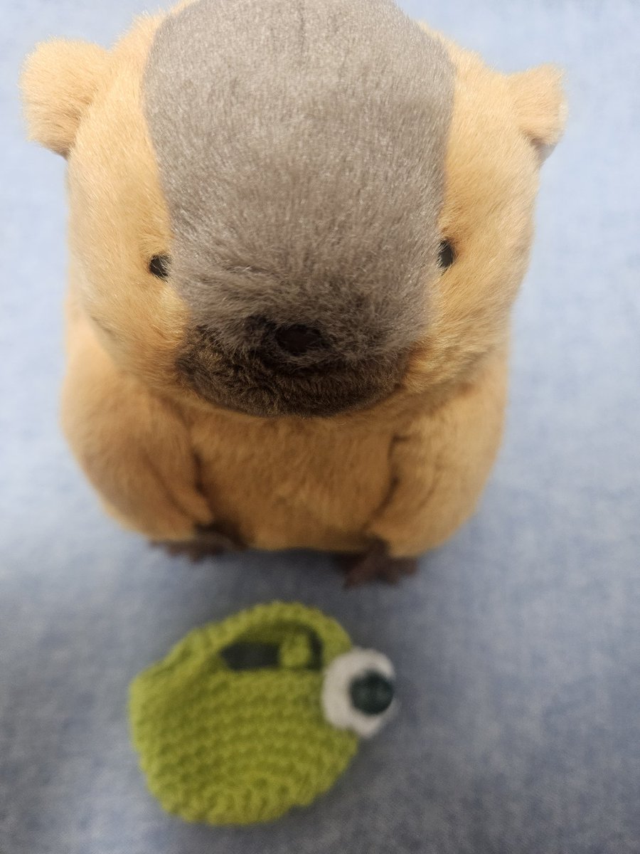 ちぇるしー。 (@chelsea513227) / Posts / X