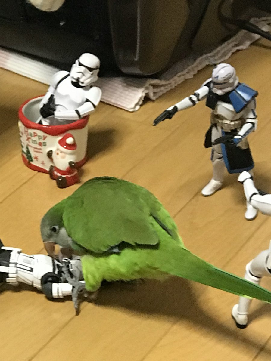 せろり tweet media