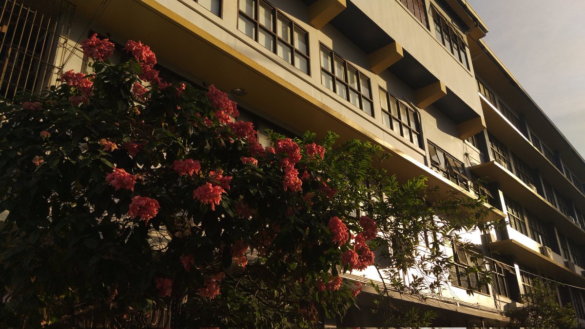 ๋dae (@everydaeyy) on Twitter photo 