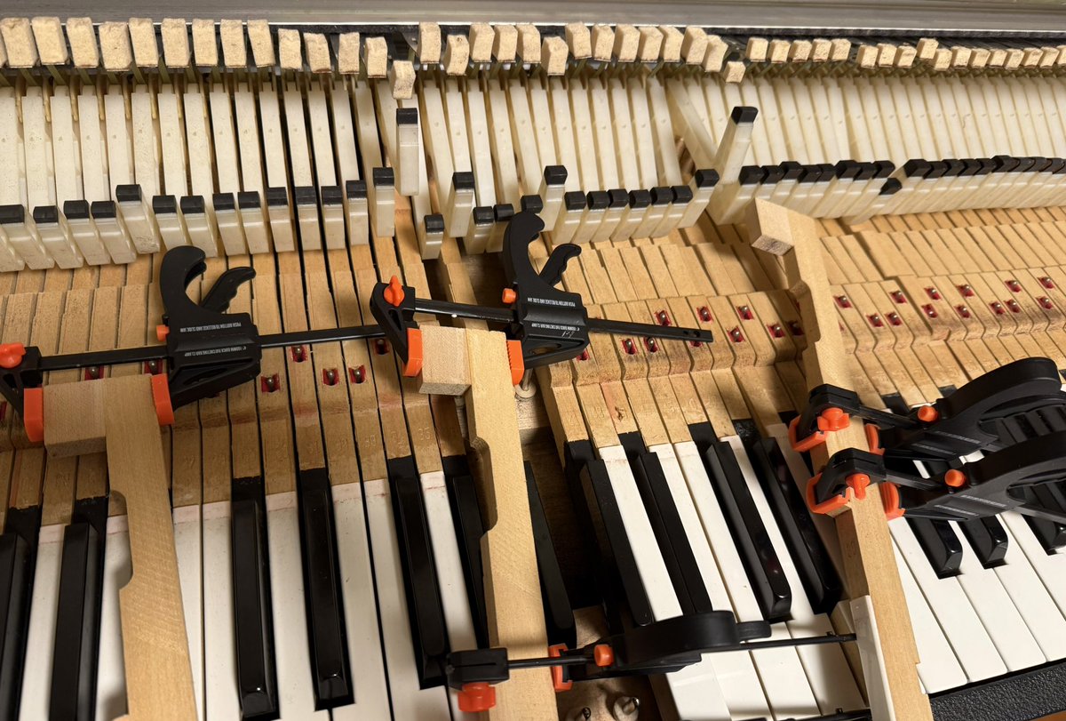 TIO101101's tweet photo. rhodes pianoの修理

破損がある鍵盤の接着
クランプがいくらあっても足りません… https://t.co/sPkbWWtqOY
