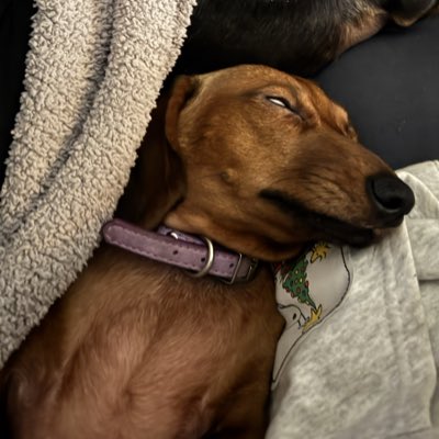 HoneyBeeVampire's tweet photo. #NewProfilePic https://t.co/AlJB1KneEG