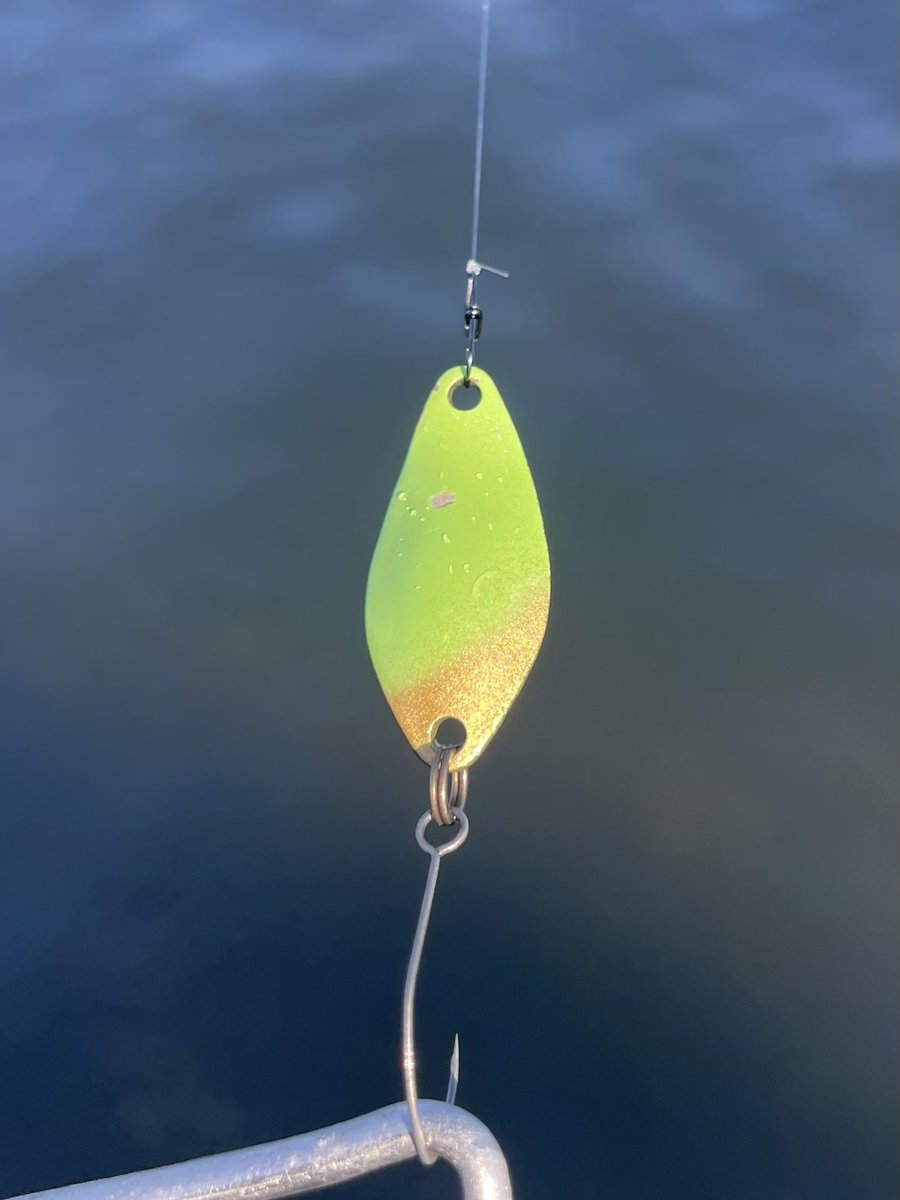 くまーる tweet media