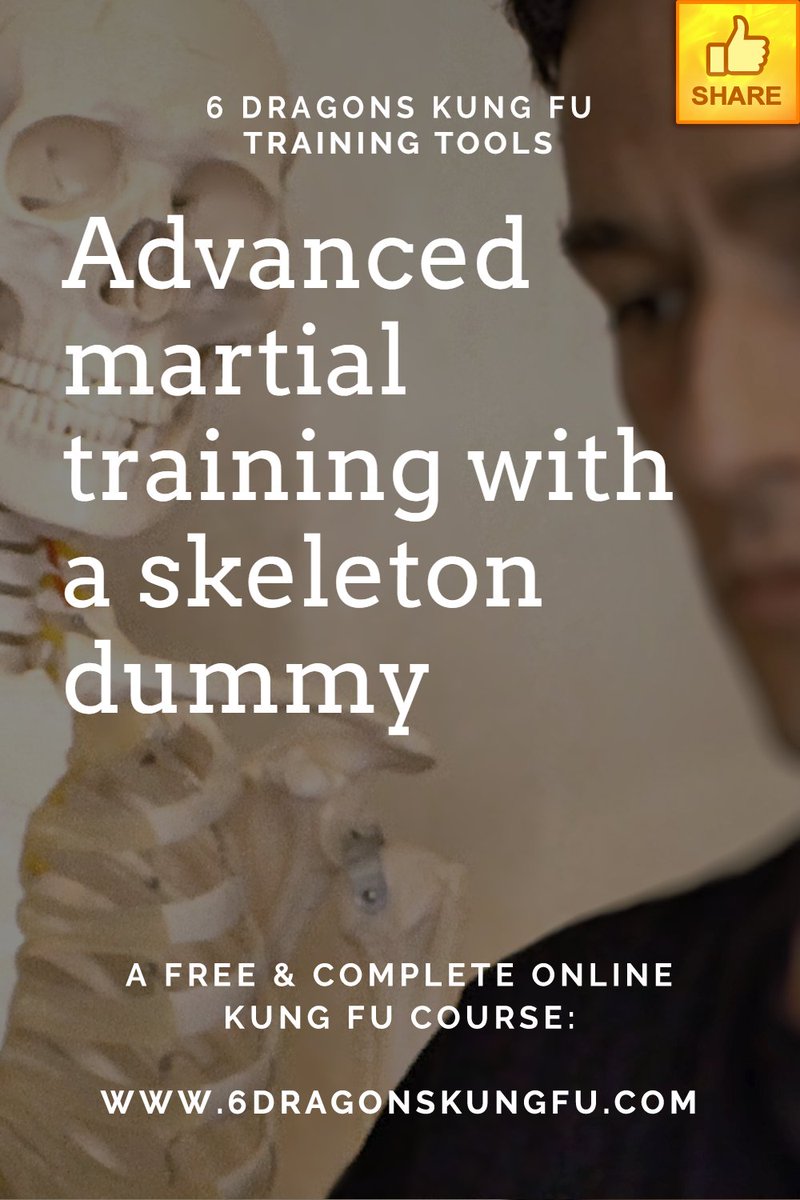 6dragonskungfu's tweet image. :) We have added an article about advanced martial training with a skeleton dummy!
.
READ IT HERE:
6dragonskungfu.com/advanced-train…
.
#TRAINING #humanbody #trainingdummy
