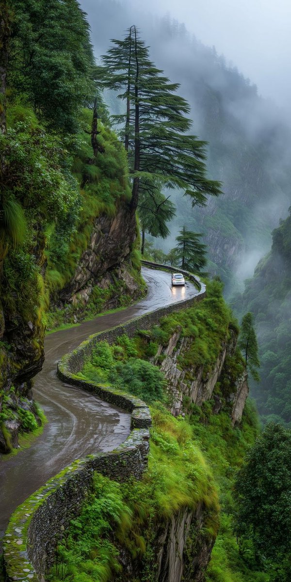 Anne Scottlin tweet media