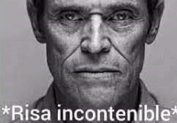 яσмιηα ναℓєяια tweet media