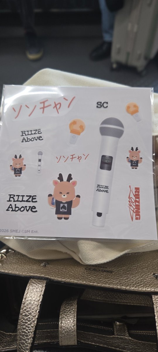 ベク民🐶 tweet media