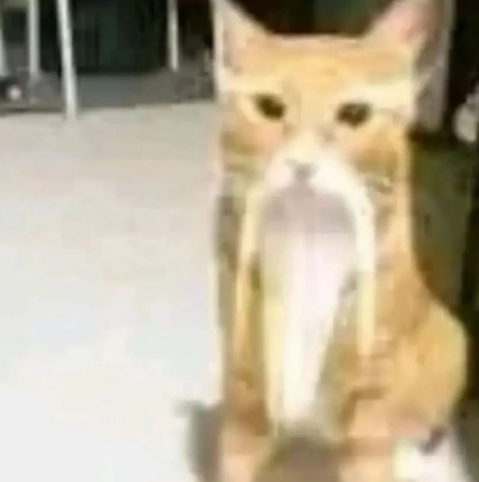 Juggernautz630 tweet media