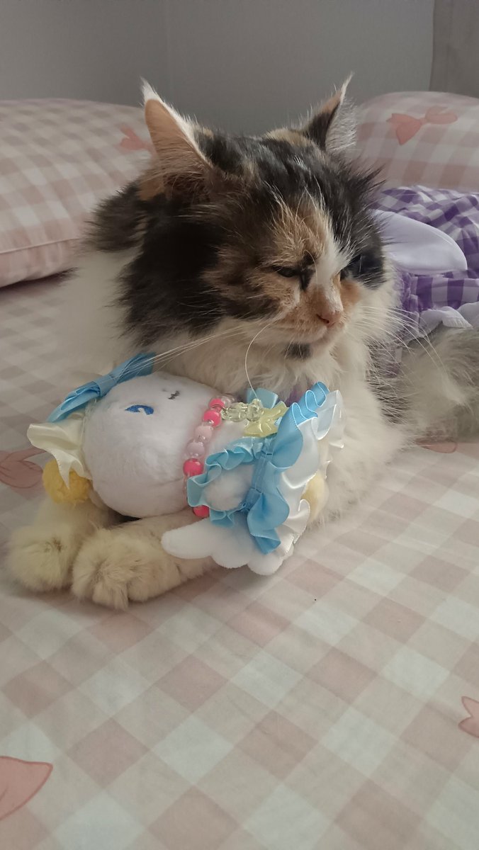Saya single beranak 3, satunya lagi tidur. 
Kakak Mauza dan adek moi lagi cuddle²an sambil cobain baju buat lebaran 😚🫶🏻