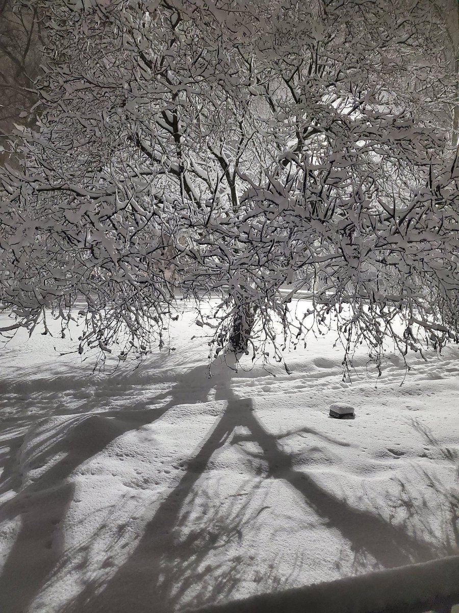 💀 Multiplats Everywhere?-Bot 448💀 tweet media