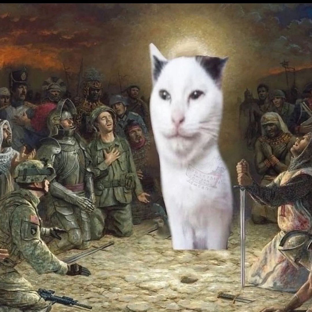 Punch Cat (@punchingcat) on Twitter photo 