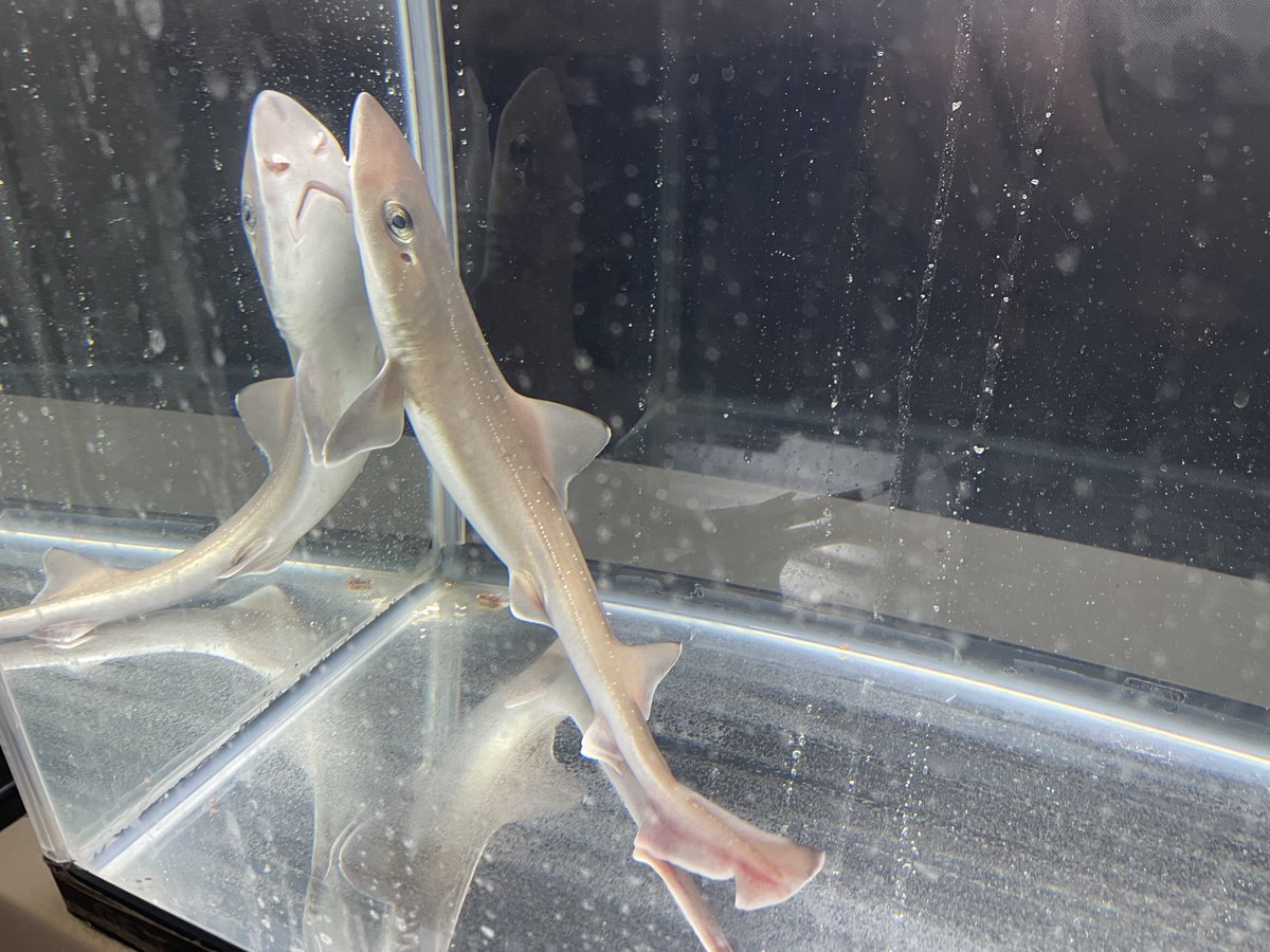 おーちゃん (@Ohchan_sub) / Posts / X