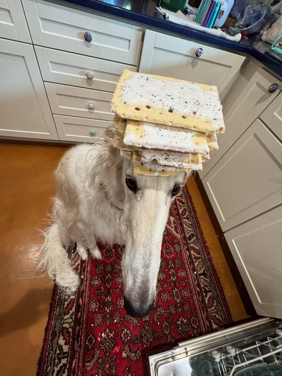 Esper Borzoi tweet media