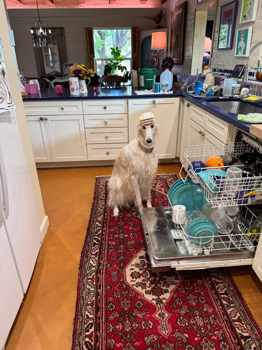 Esper Borzoi tweet media