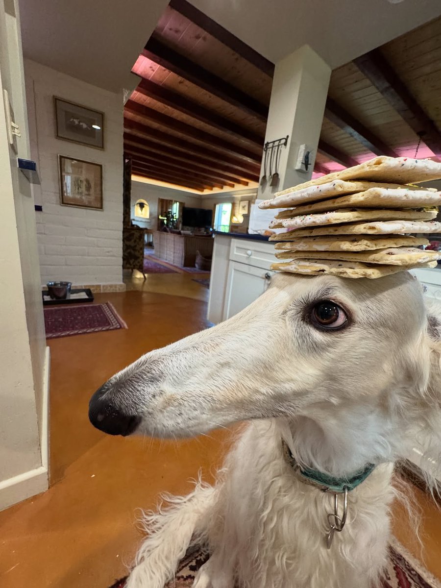 Esper Borzoi tweet media