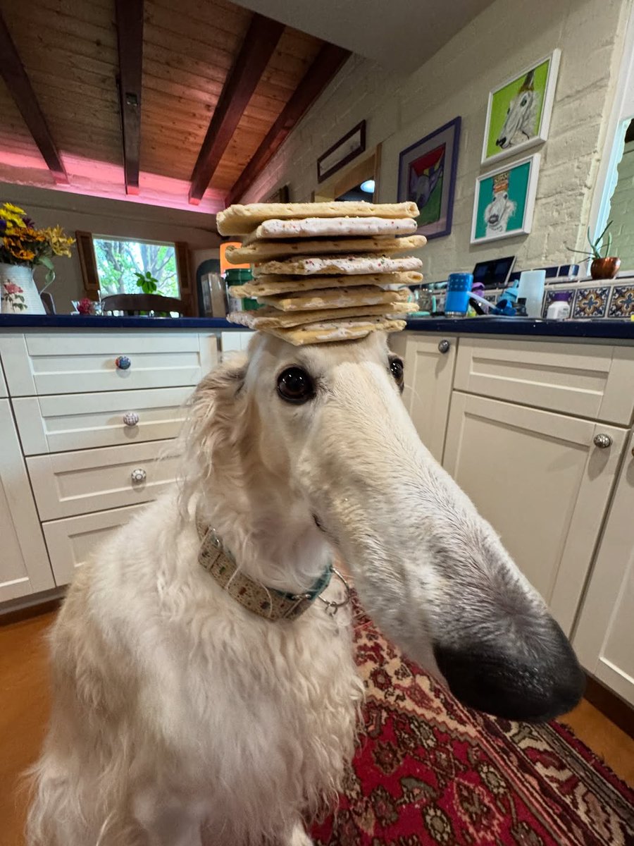 Esper Borzoi tweet media