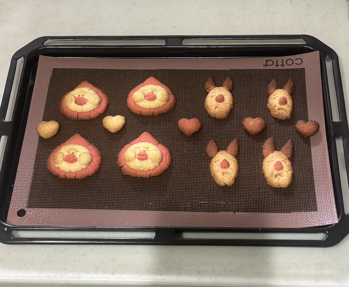 おとうふ📛 (@otodesu_ttky) / Posts / X