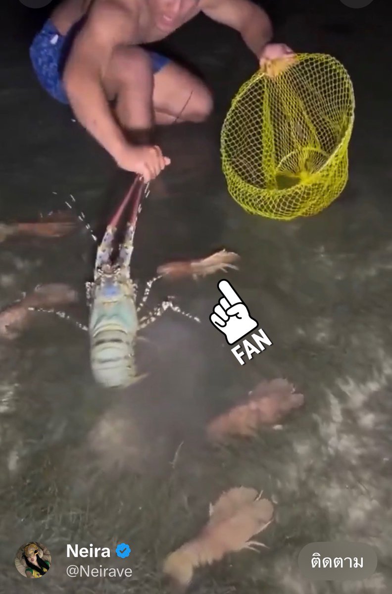 แนท อายุ38 ด้านมืด สายไฮ รุมสวิง tweet media