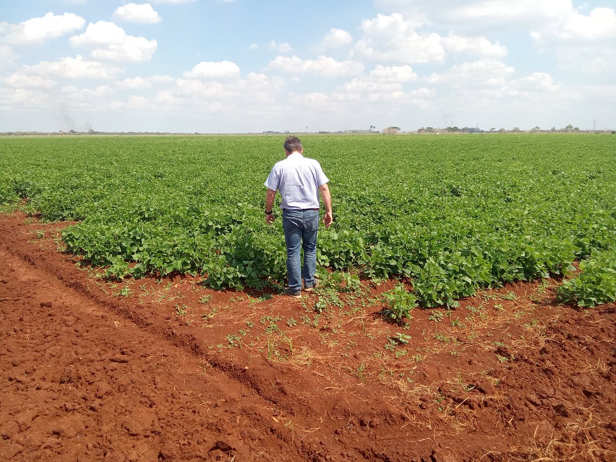 Se chequea en Colón los compromisos contraídos en el Pleno del a Comité Municipal del Partido con la Provincia