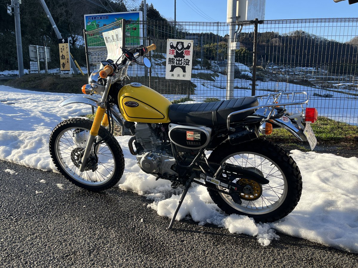 ふっくん 【マシュー】 tweet media