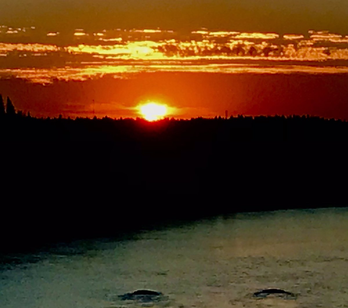 Good night, sleep well and sweet dreams everyone!