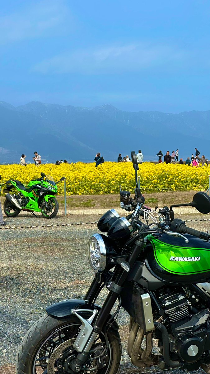 とらちゃん (@torachan675r1) / Posts / X