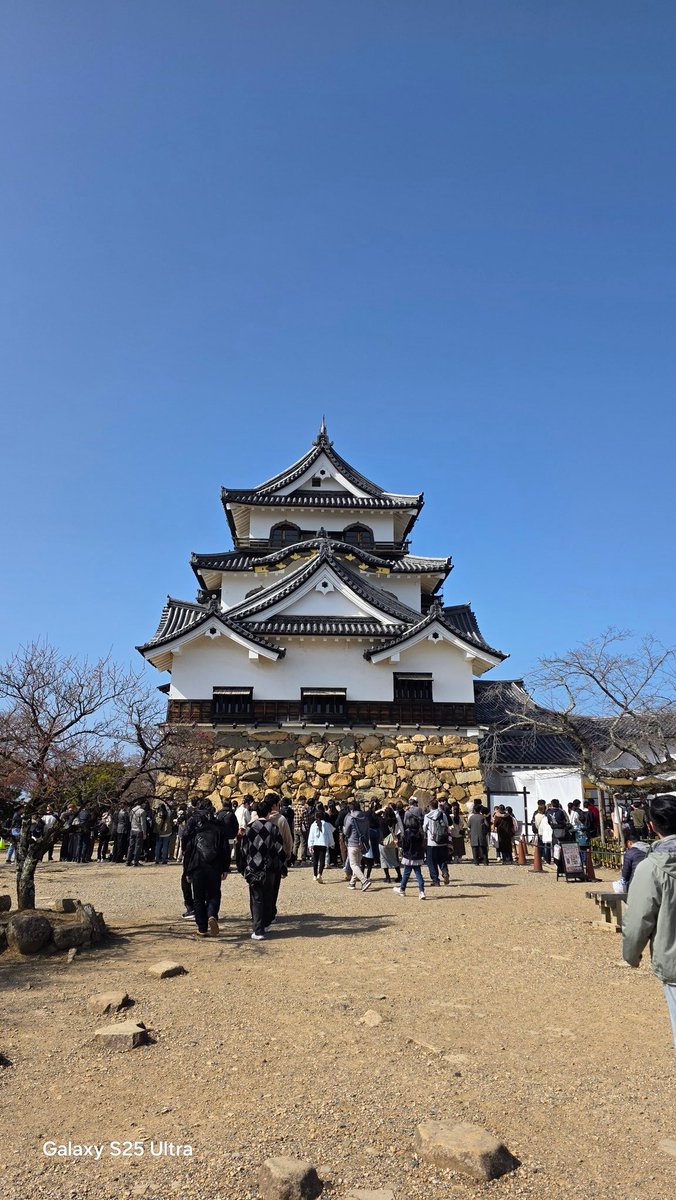 修理待ちで彦根城！！シャアやシャンクス、赤井さんの声優 池田秀一